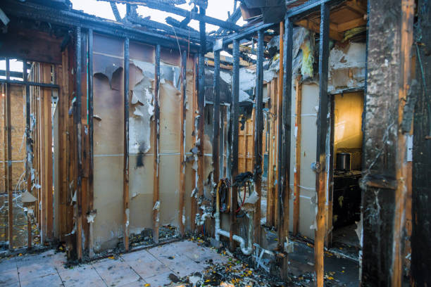 Professional Structural Rebuild technician working in Maple Grove, MN